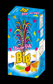 FlowerPotsBig