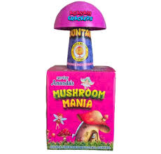 Mushroom Fountain